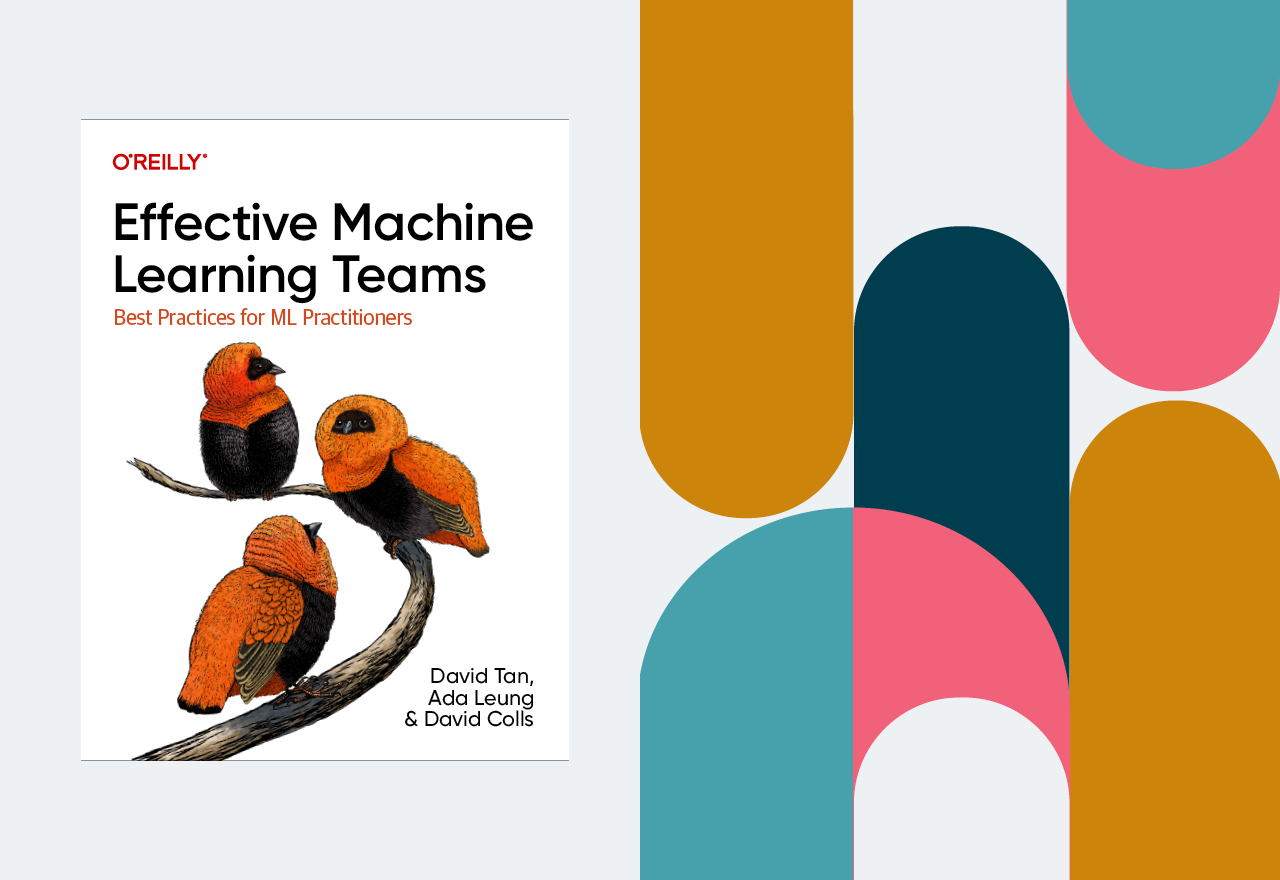 Book cover of Effective Machine Learning Teams: Best Practices for ML Practitioners by David Tan and Ada Leung. The image on the cover is of three birds on a branch. 