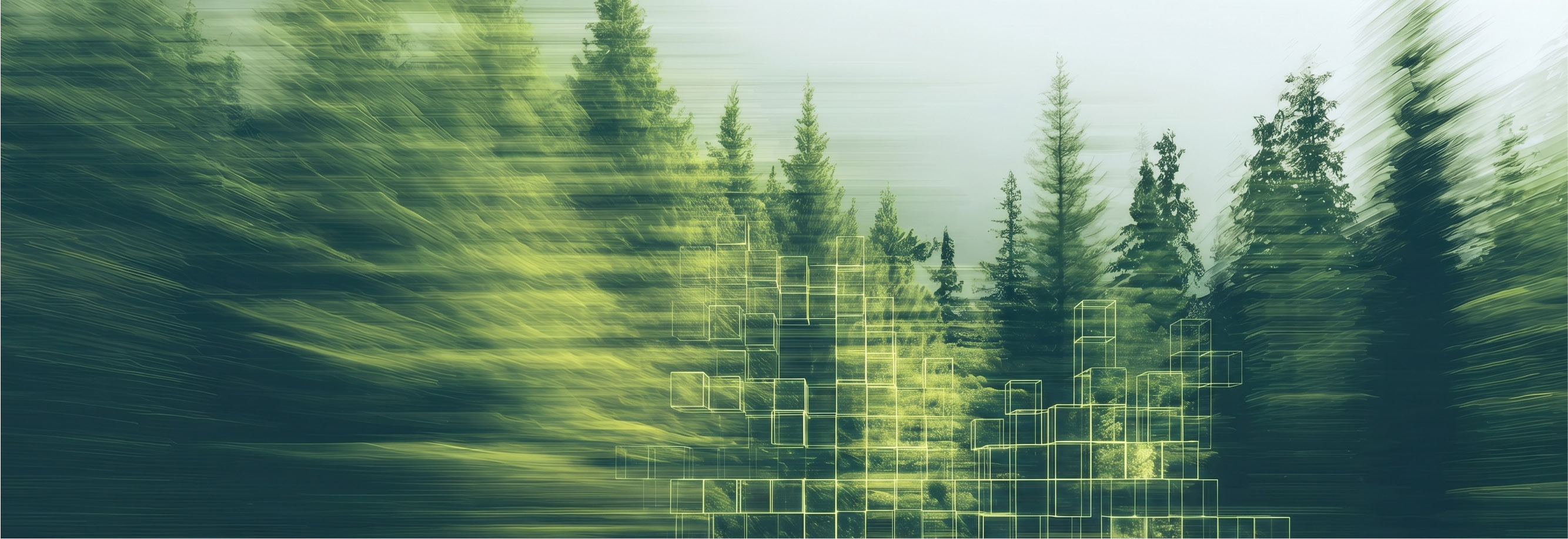Long exposure illustration of a forest, which looks like we are moving away from it, with AI cubes on the journey