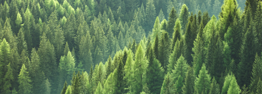 Bringing sustainability to the cloud Bringing sustainability to the cloud