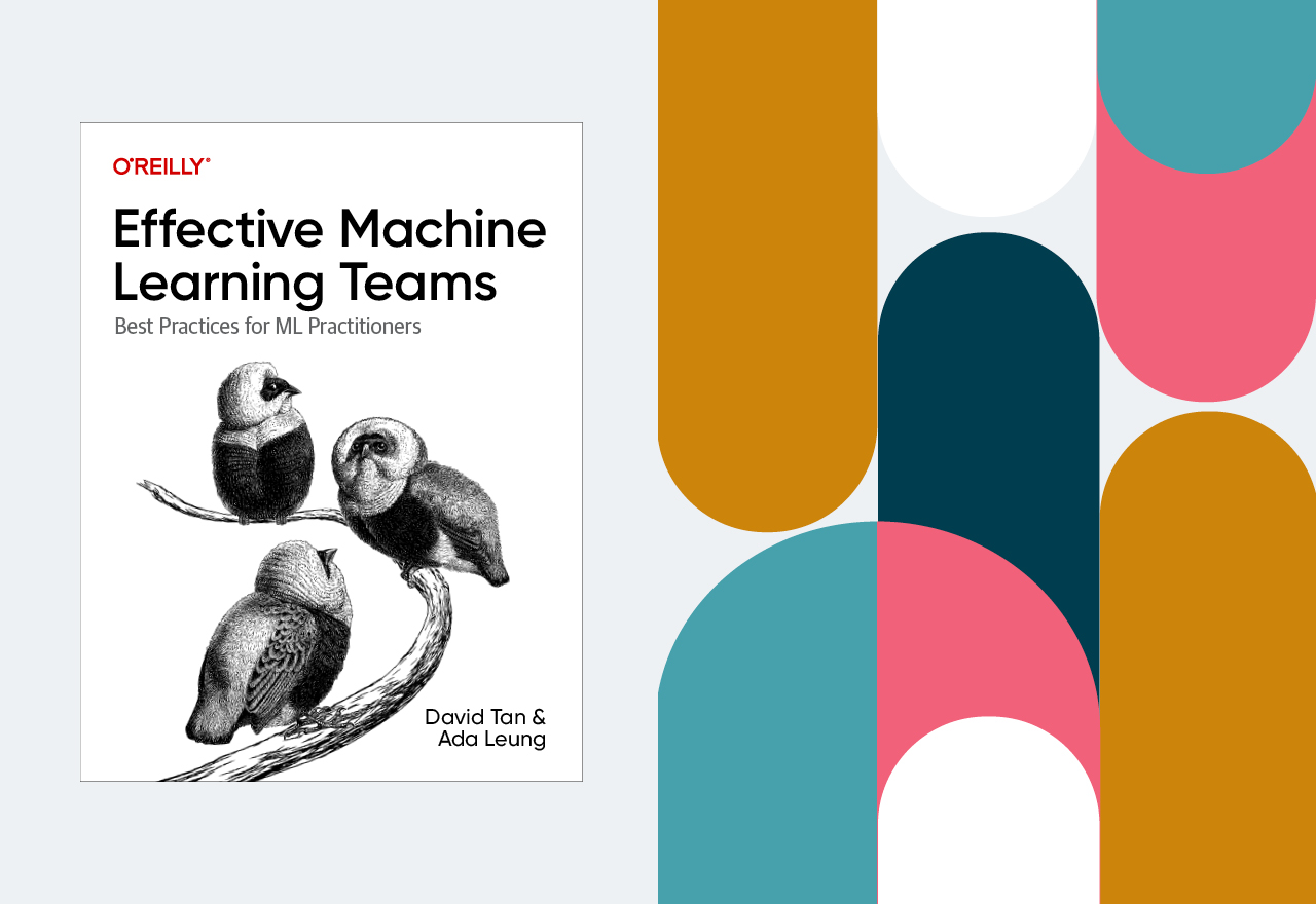 Book cover of Effective Machine Learning Teams: Best Practices for ML Practitioners by David Tan and Ada Leung. The image on the cover is of three birds on a branch. 