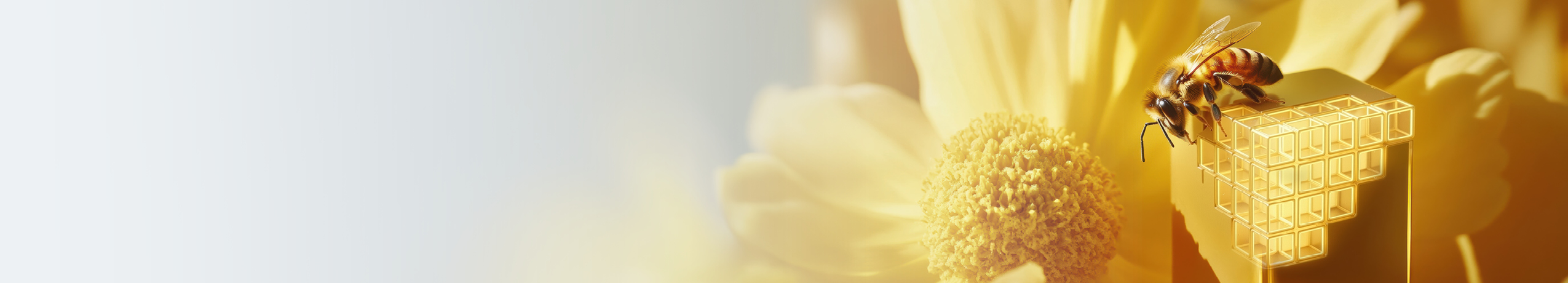 Five key trends shaping the future of payments and global money movement