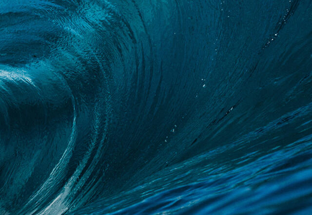 Together we make extraordinary impact