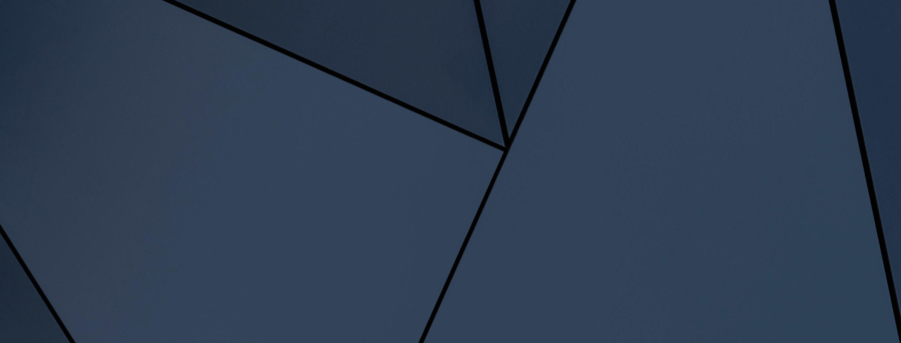 Perspectives #11 banner