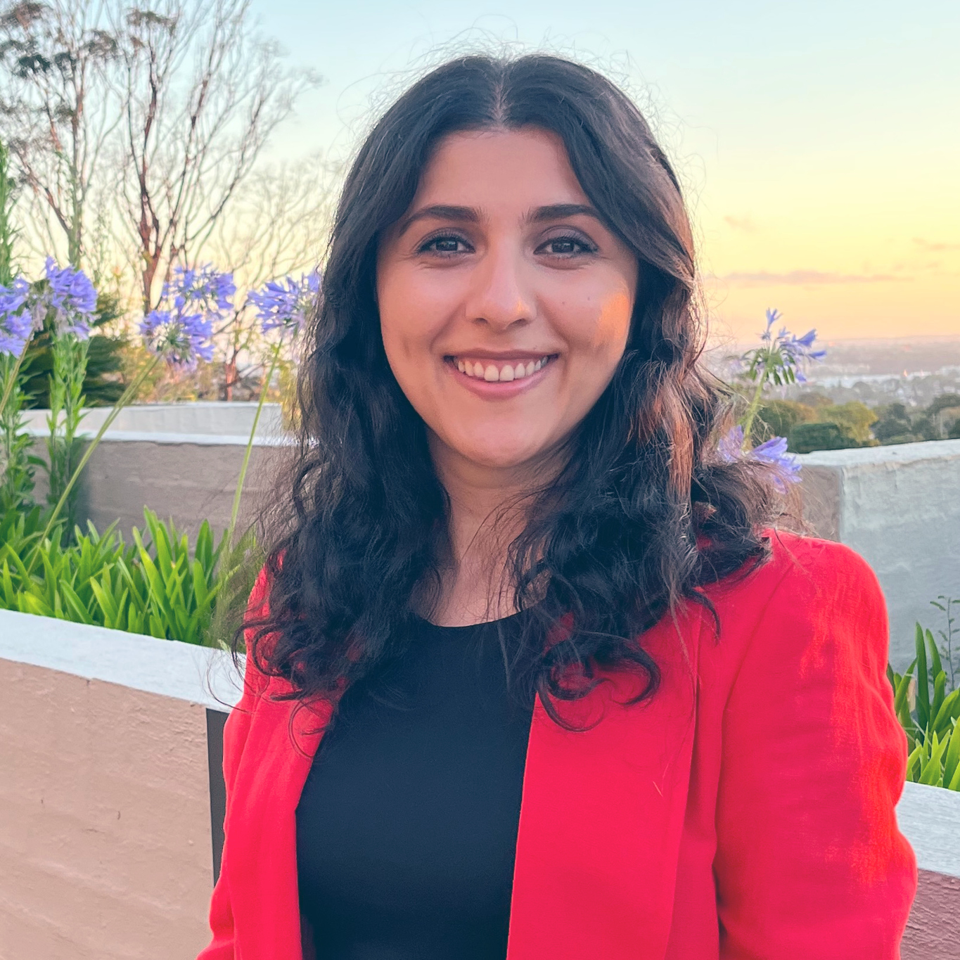 Parisa Jabbari, Consultant Developer