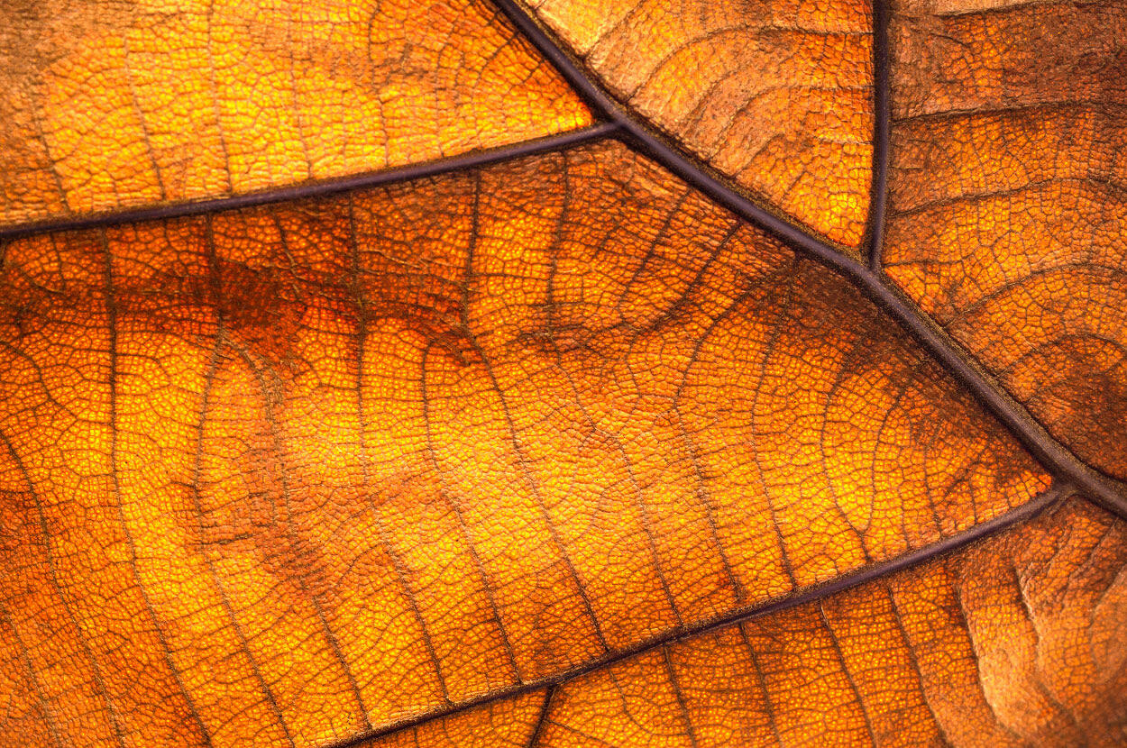 NoSQL Distilled Thoughtworks