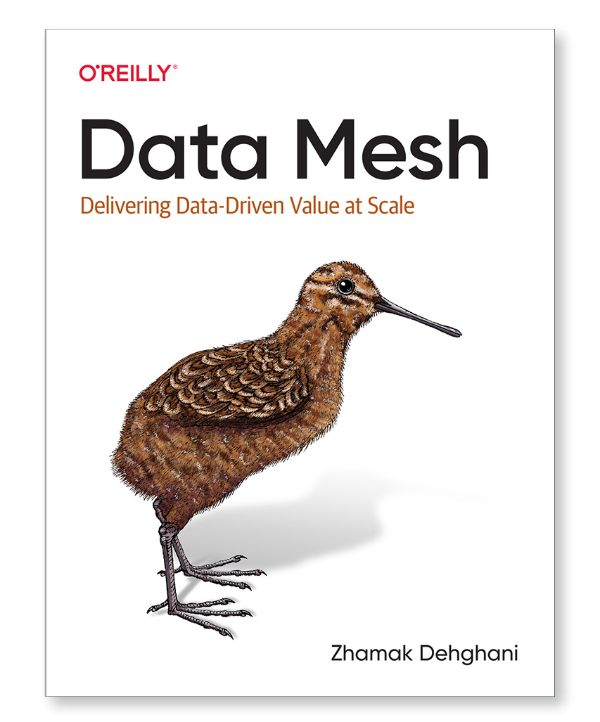 Data Mesh Data Mesh