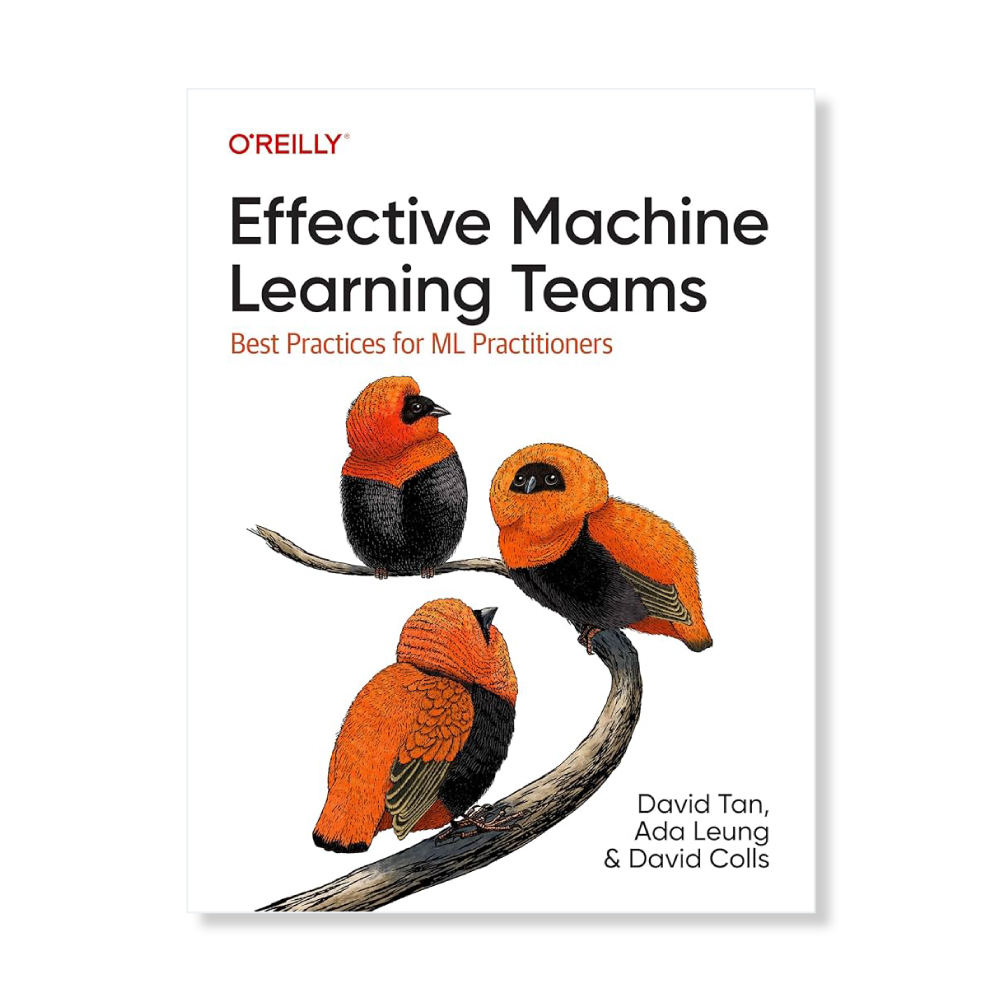 Effective Machine Learning Teams book cover