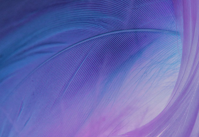 Platform power:The key to redefining customer experience