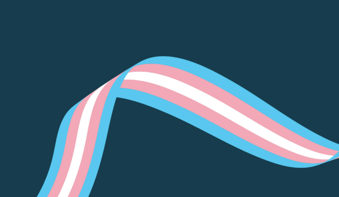 Trans flag