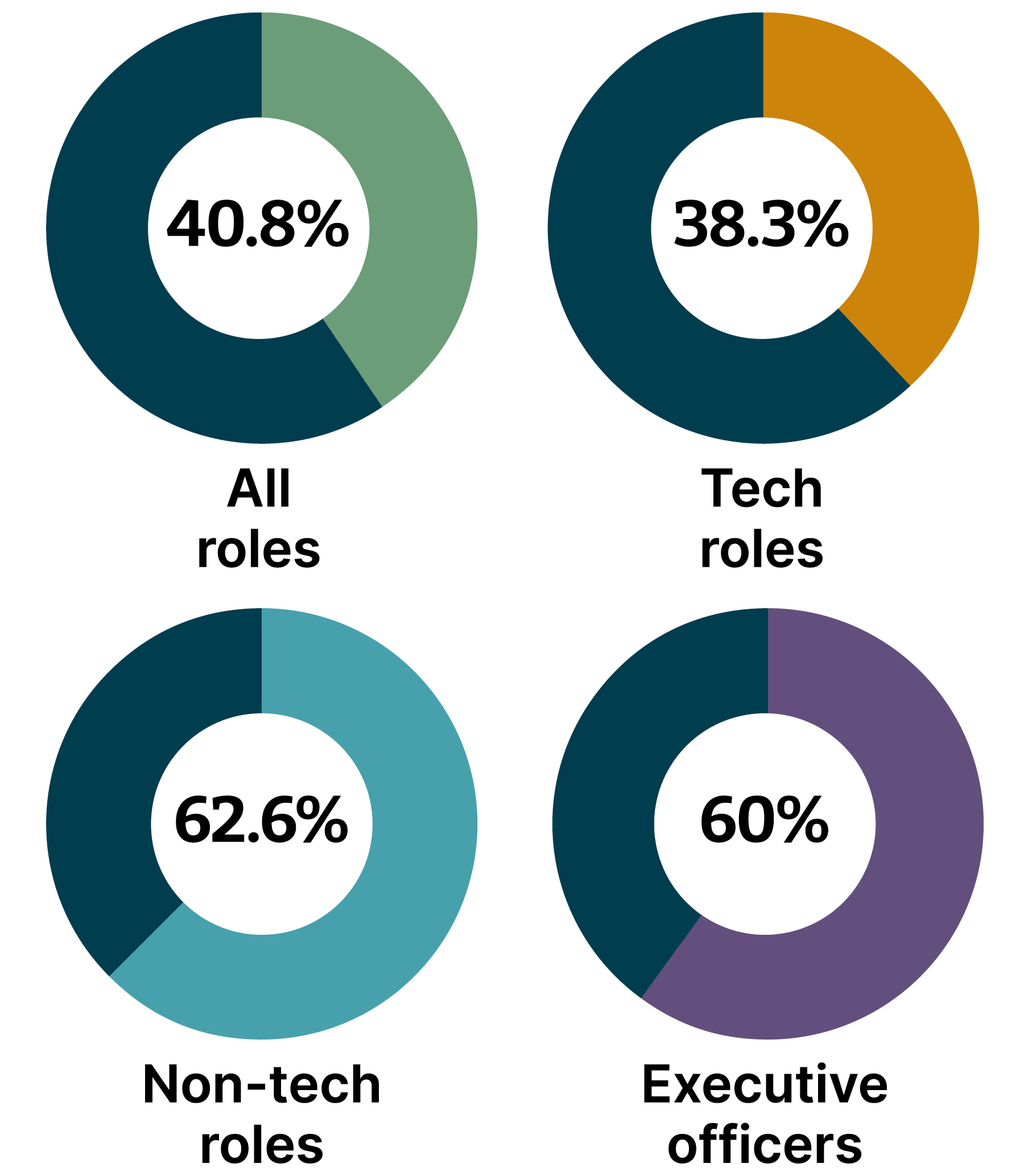 Ring charts showing the representation of WUGM at Thoughtworks: 40.8% in all roles, 38.3 in tech roles, 62.6 in non tech roles and 60% of our executive officers