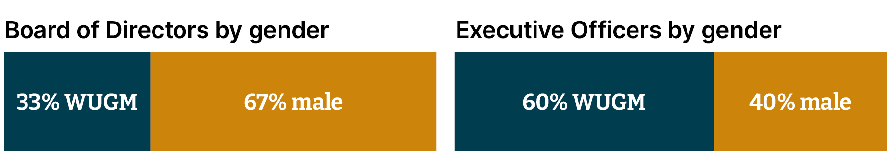 Bar graphs showing our leadership diversity: Board of directors 33% WUGM and 67% male; Executive officers 60% WUGM and 40% male