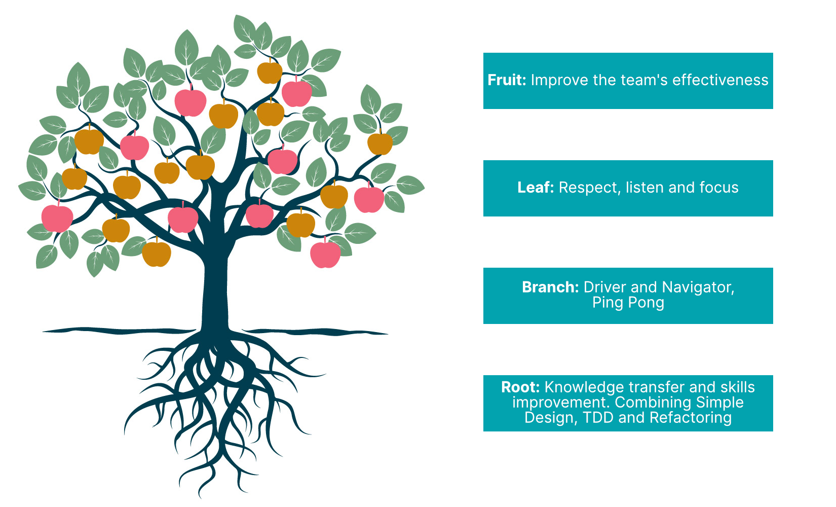 Image depicting a tree representing the root, branch, leaf and fruit of pair programming