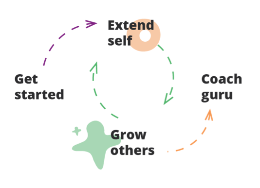 The Coaching Process The Coaching Process