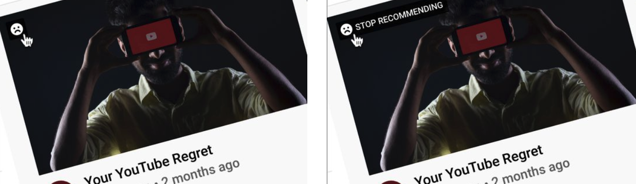 The RegretsReporter extension The RegretsReporter extension