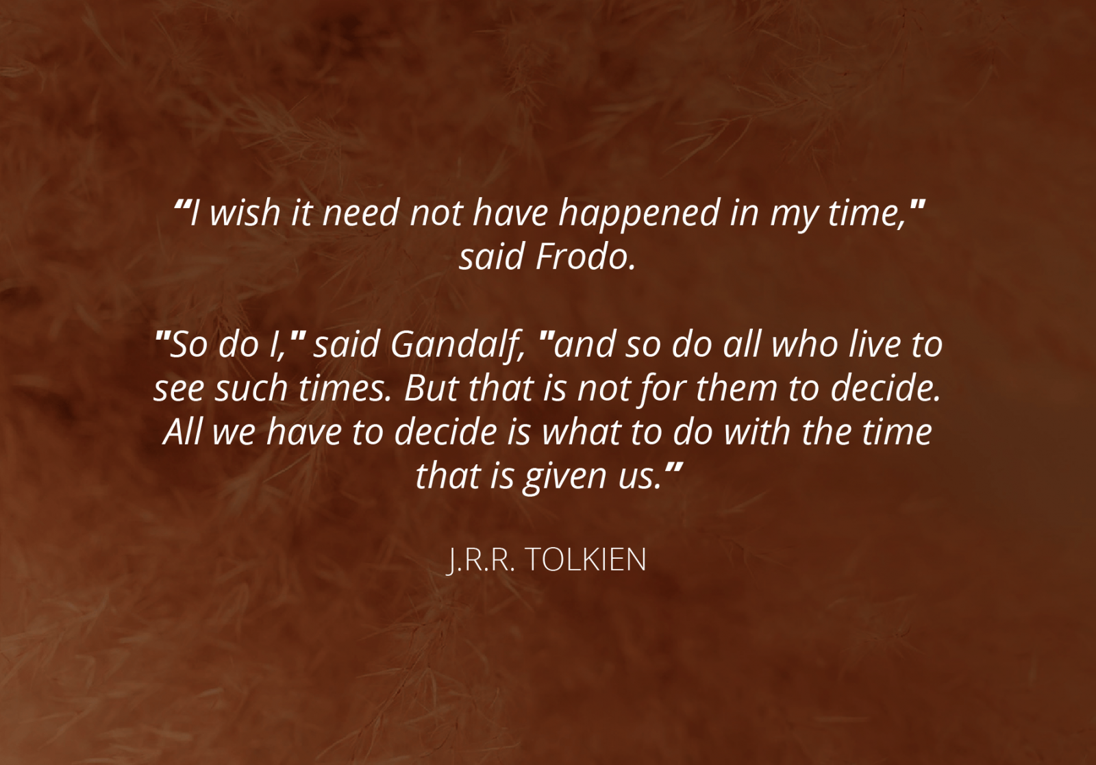 Quote from the book The Hobbit