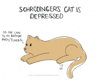 depressed cat