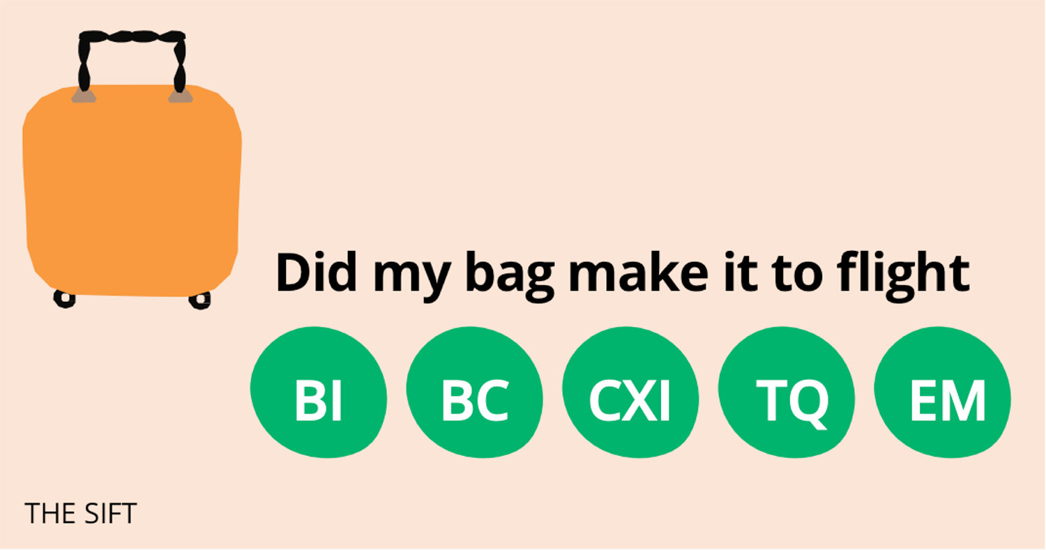 Did my bag make it