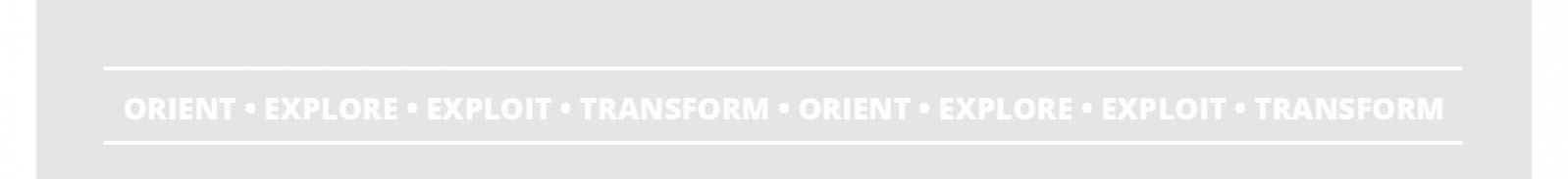 Lean Enterprise: Orient, Explore, Exploit, Transform