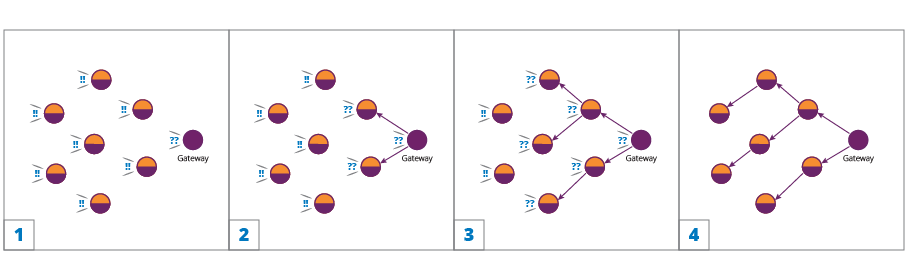 The formation of a root-reliant mesh, where connections propagate outwards from the gateway device.