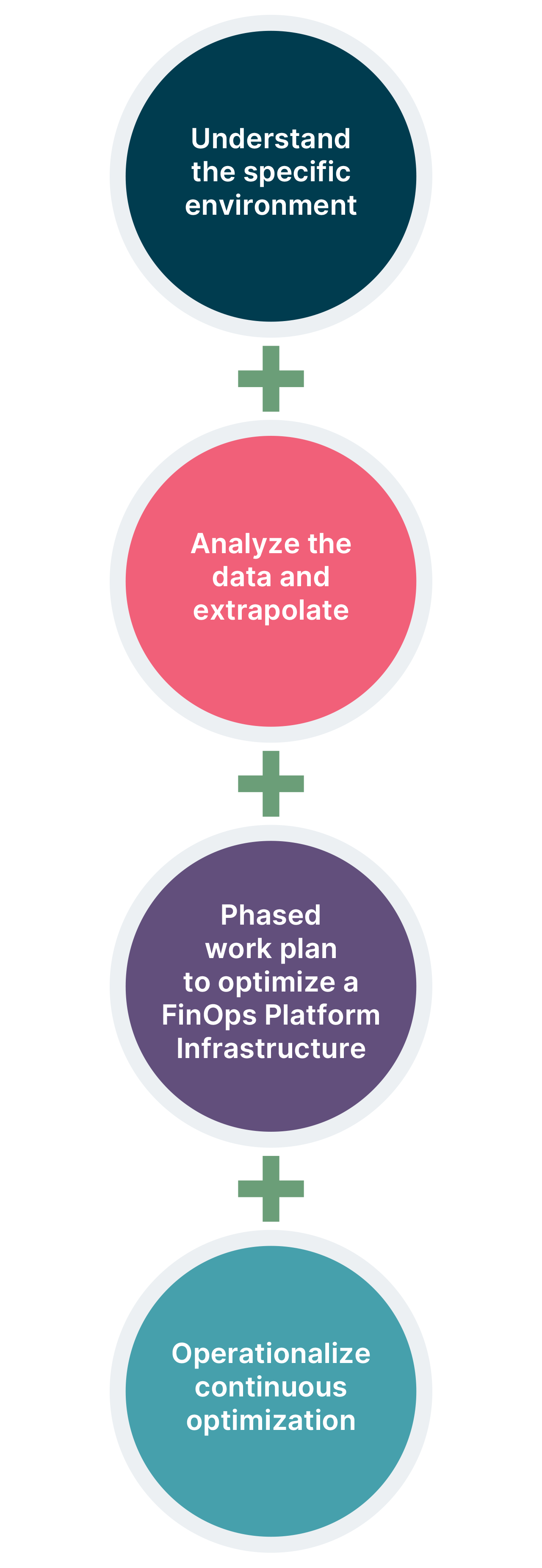 Four circles with text: 1) Understand the specific environment 2) Analyze the data and extrapolate 3) Phased work plan to optimize FinOps Platform Infrastructure 4) Operationalize continuous optimization