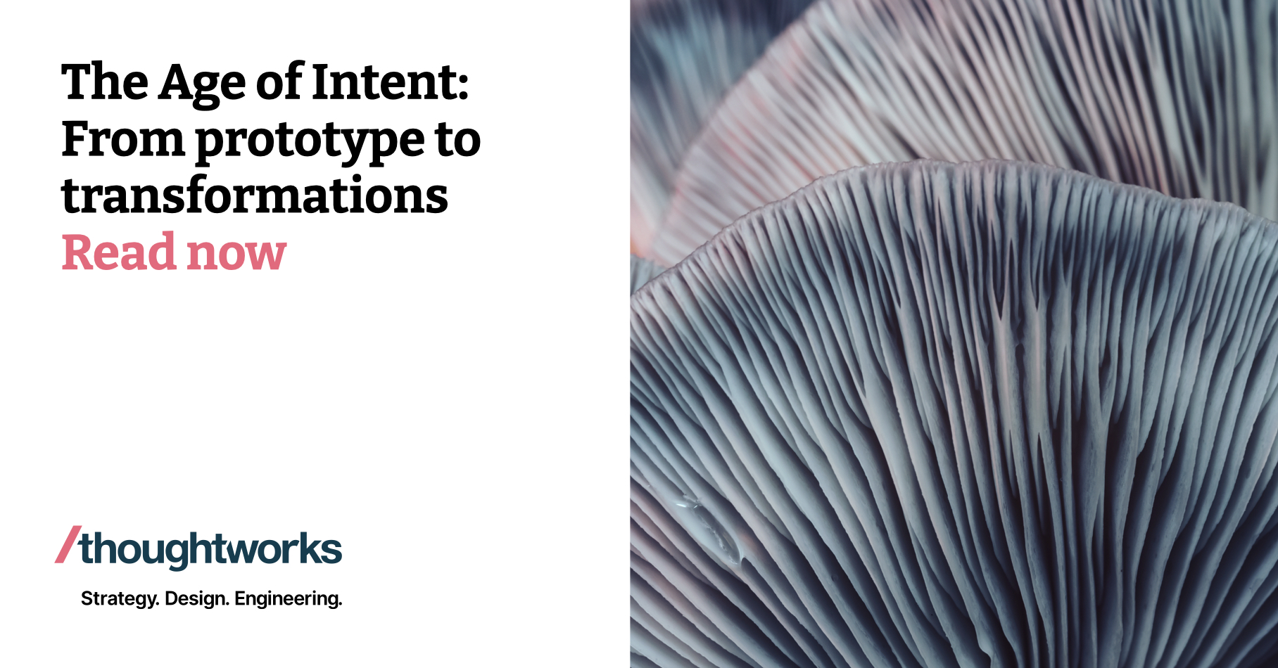 The Age of Intent: From prototype to transformation