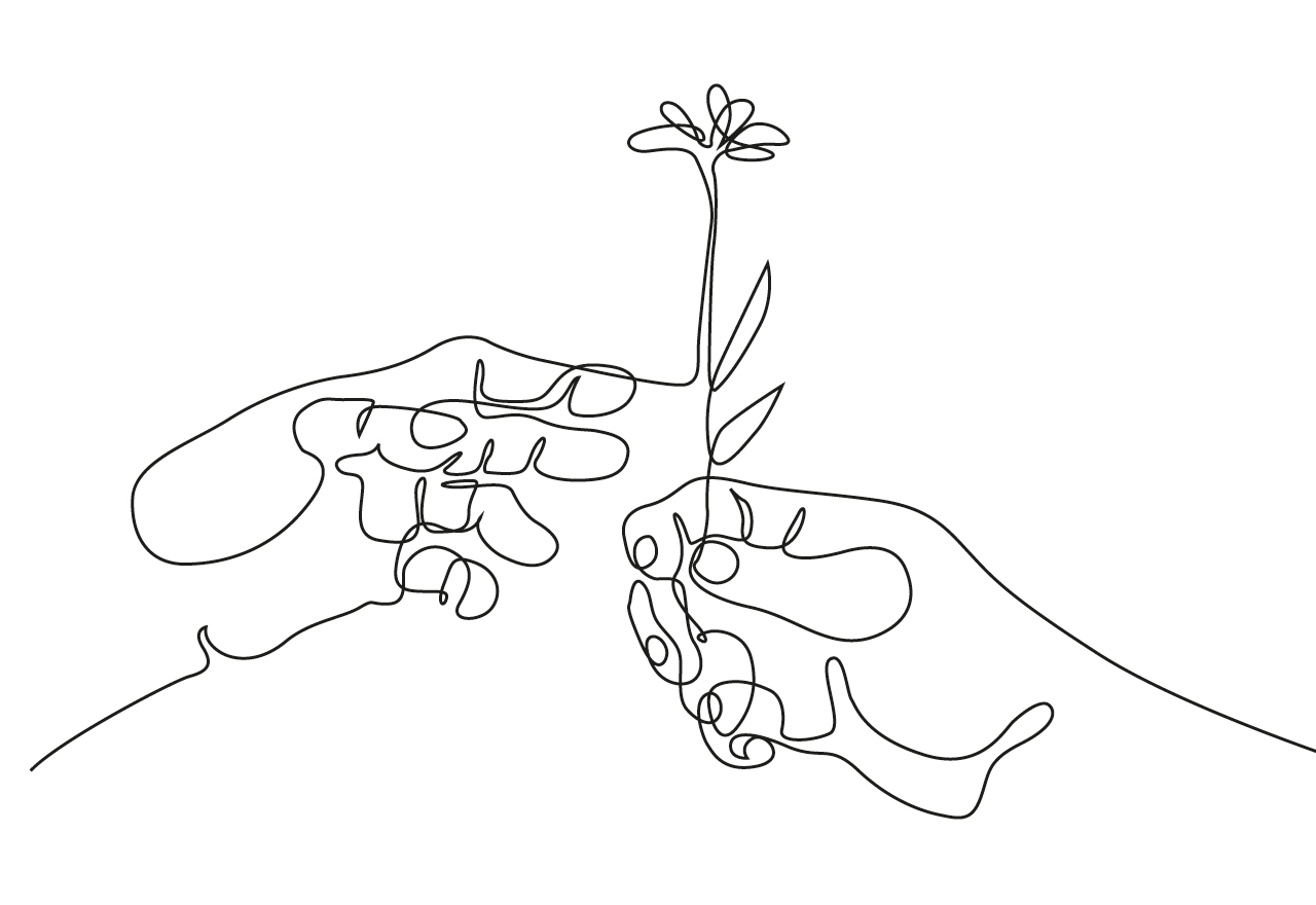. Drawing of two hands holding a flower bud
