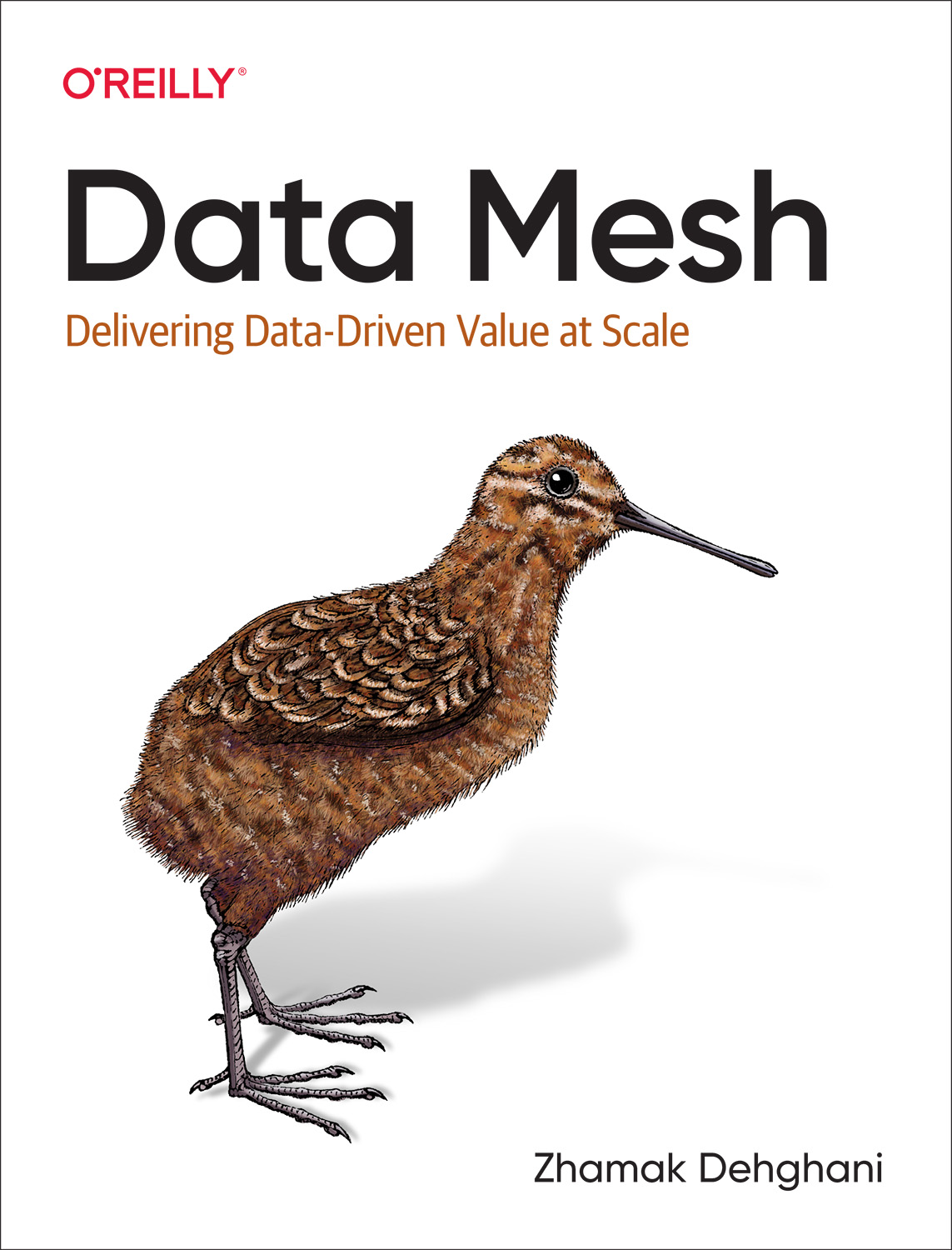 Data Mesh