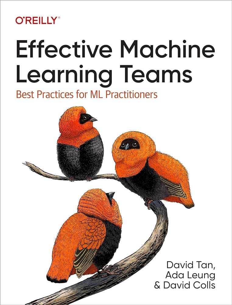 Effective Machine Learning Teams book cover