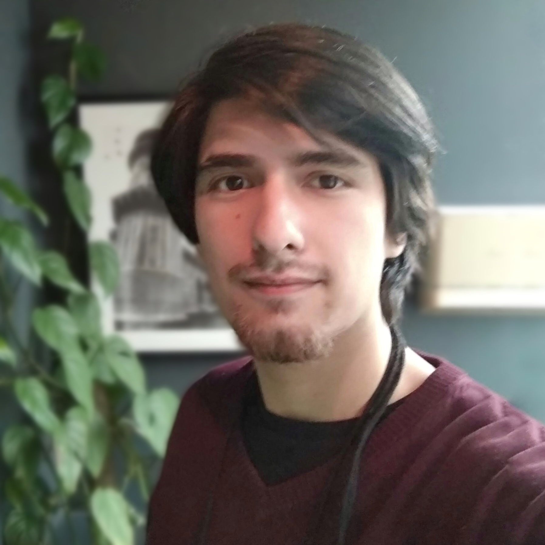 Fernando Parra perfil