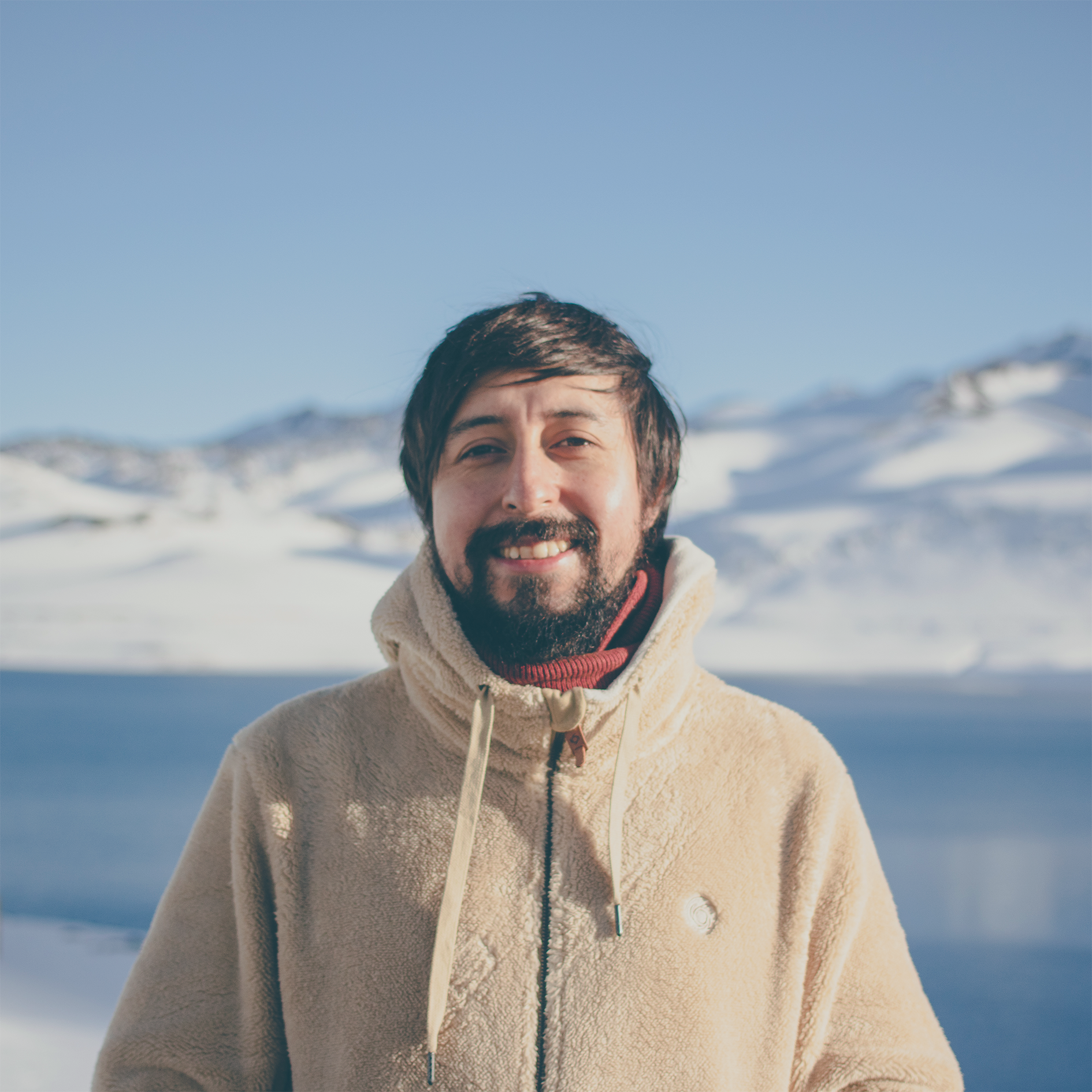 Lead consultant / Technical Lead Gaspar Soto