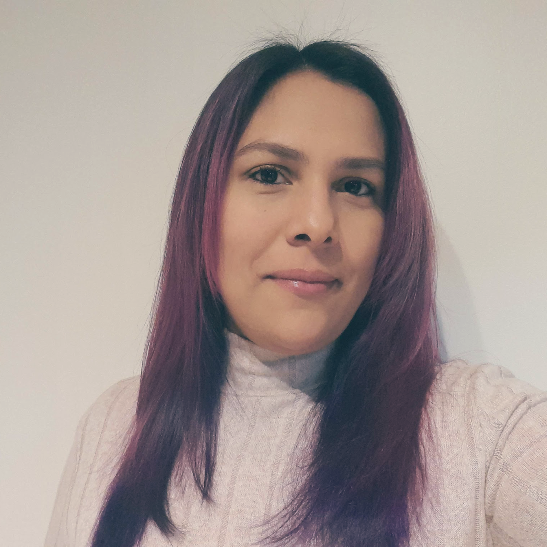 Lead Consultant / Delivery Principal / Project Manager Yeraldine Mendoza perfil